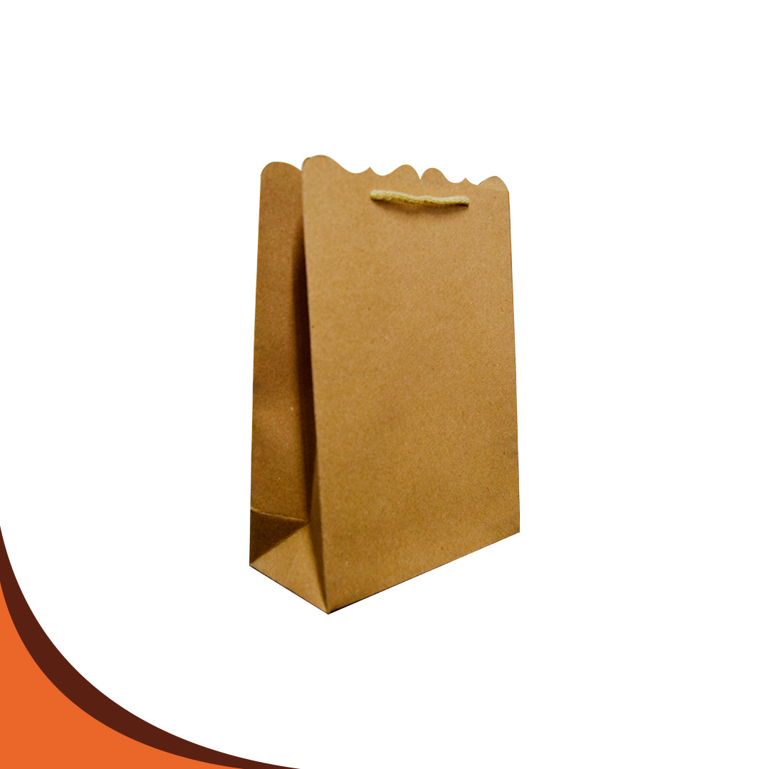BOLSA MEDIANA 25X17.5X8.5 PQT. 100 PZS