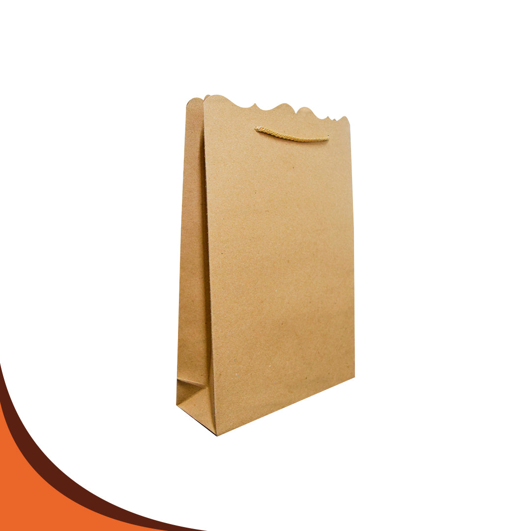 BOLSA GRANDE 34X23X8. PQT. 100 PZS