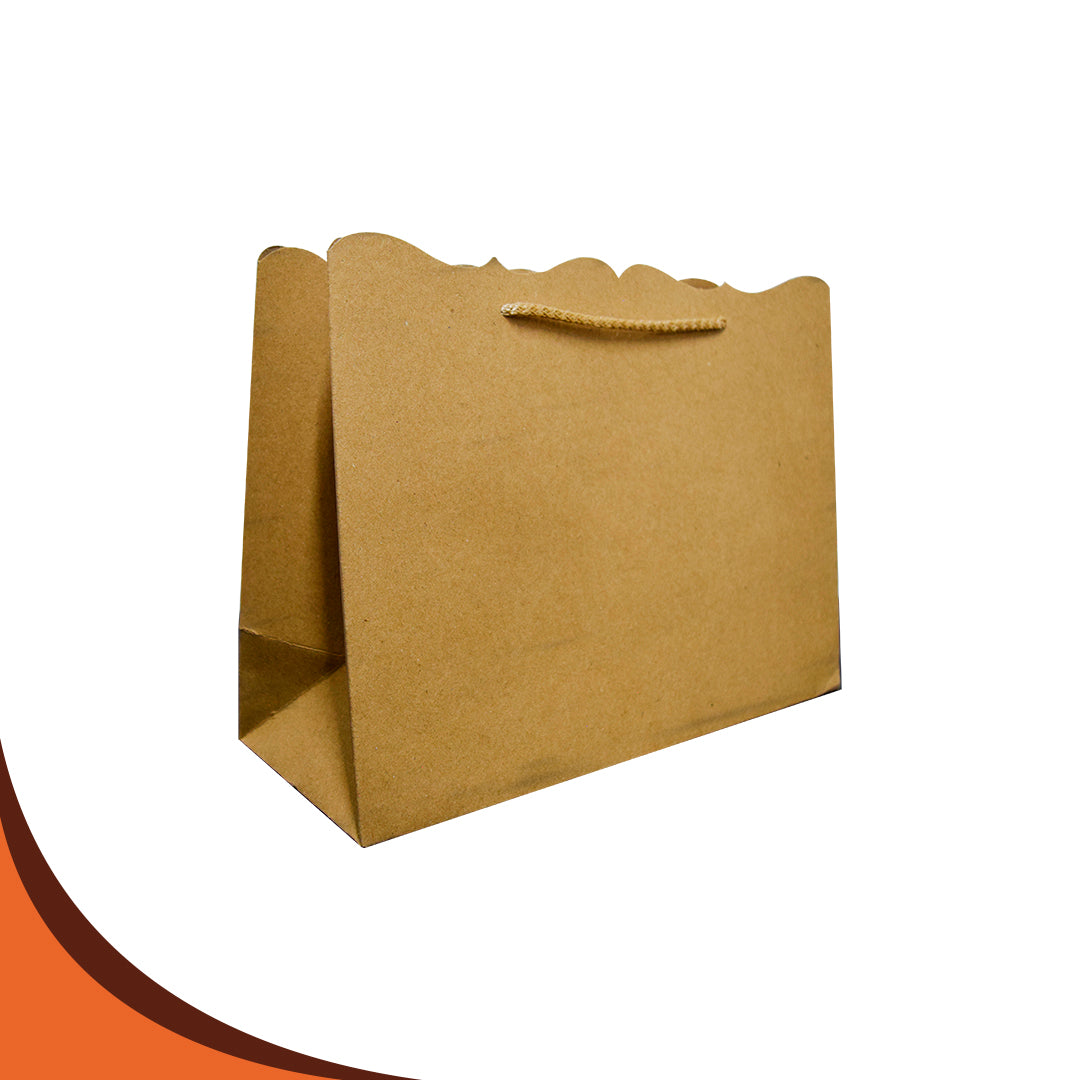 BOLSA BOUTIQUE MED 22X29.5X11.5. PQT. 100PZS
