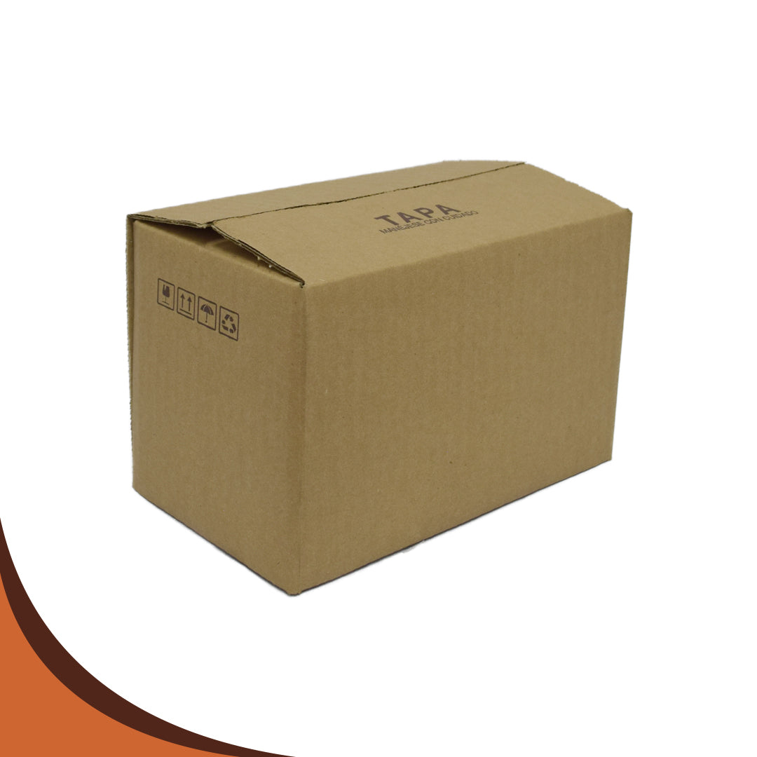 CAJA 20 X 12 X 12 23ECT CSK-P PQT.25 PZS