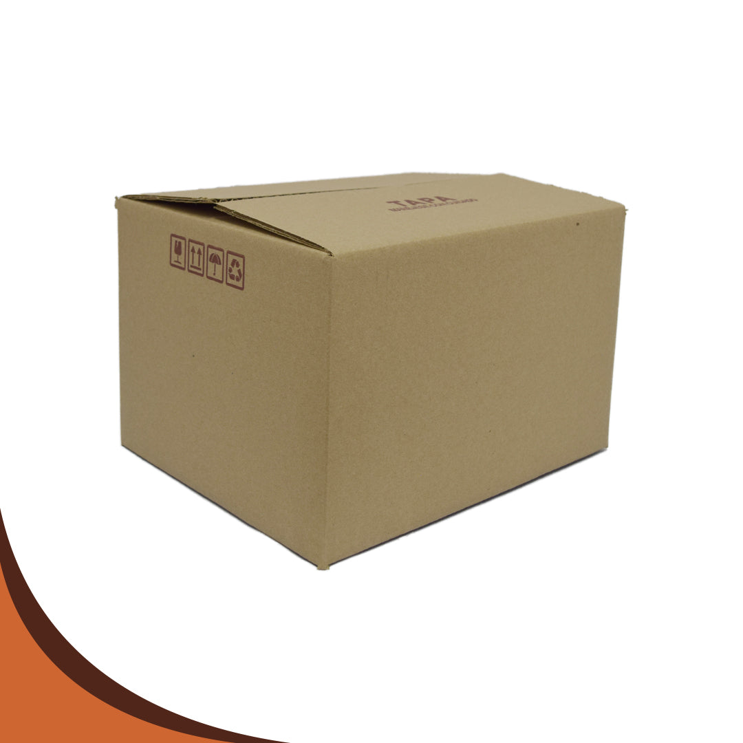 CAJA 27.5 X 22 X 17.5 23ECT CSK-P PQT.25 PZS