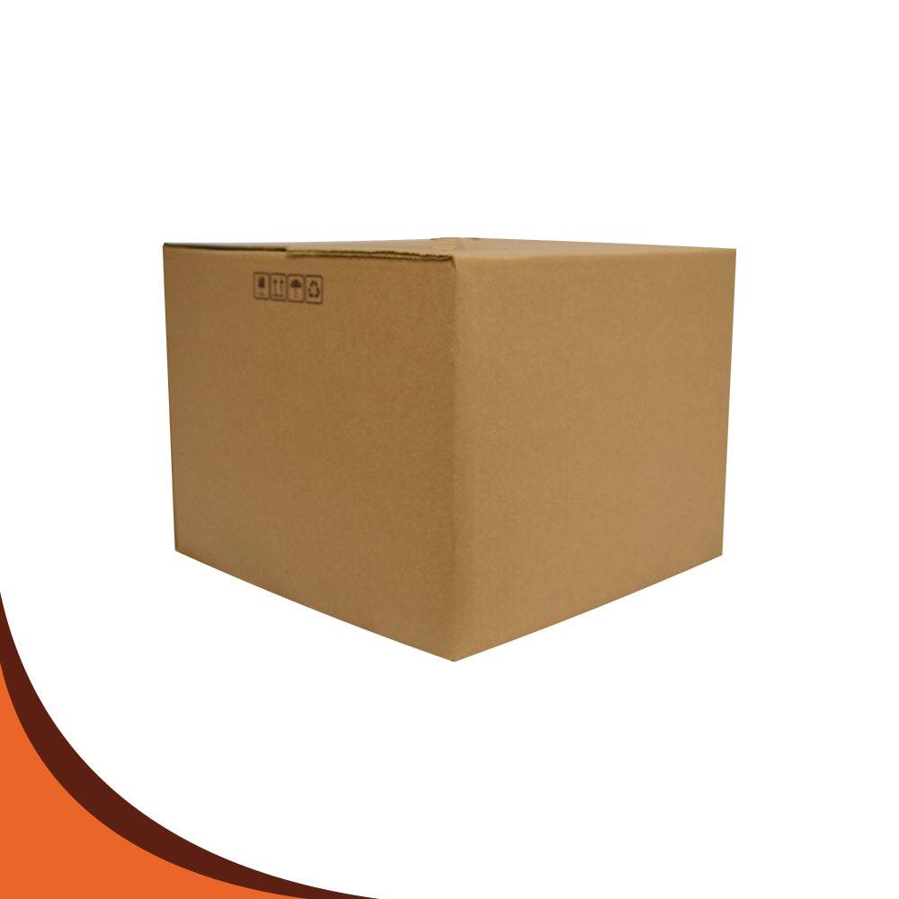CAJA 31 X 31 X 31 23 ECT CSK-P PQT.25 PZS