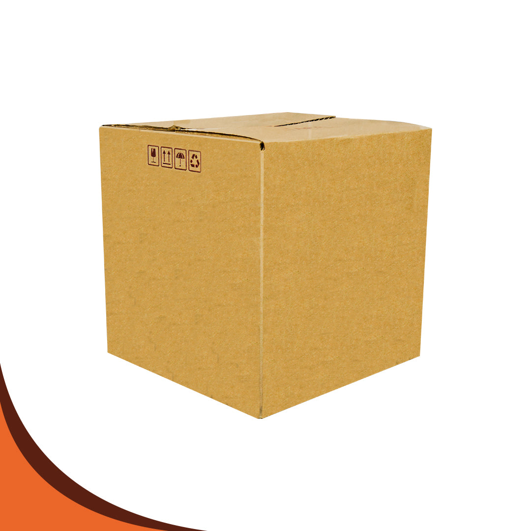 CAJA 24 X 24 X 24 23ECT CSK-P PQT.25 PZS